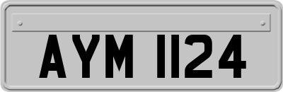 AYM1124