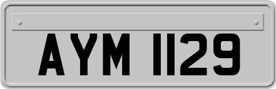 AYM1129