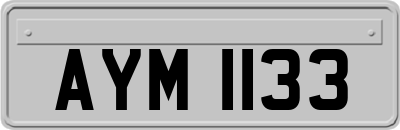 AYM1133