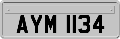 AYM1134