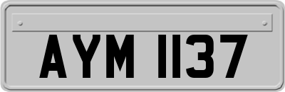 AYM1137