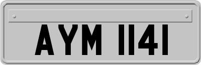 AYM1141