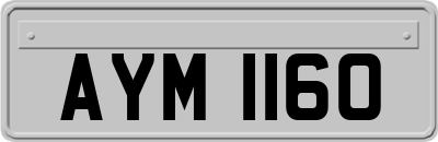 AYM1160