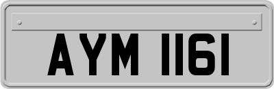 AYM1161