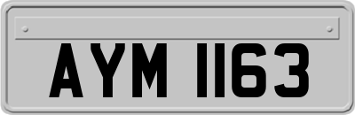 AYM1163