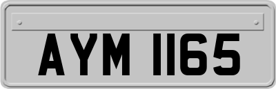 AYM1165