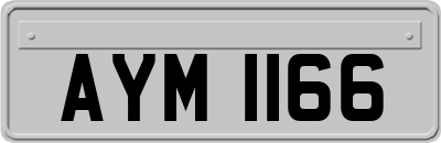 AYM1166