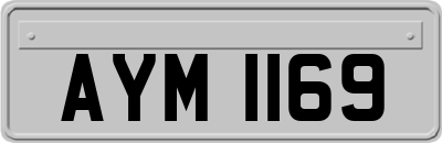 AYM1169