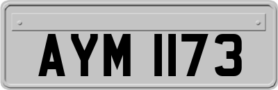 AYM1173