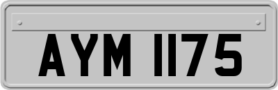 AYM1175