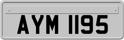 AYM1195