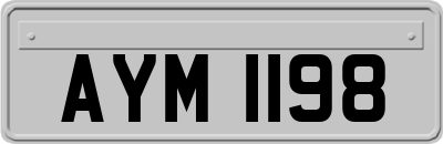 AYM1198
