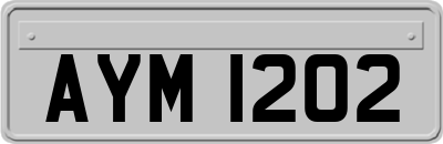 AYM1202