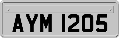 AYM1205