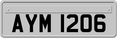 AYM1206