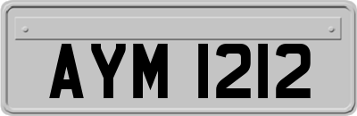 AYM1212