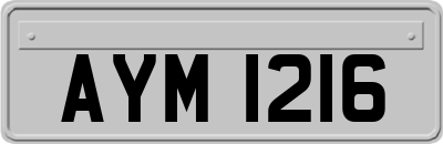 AYM1216
