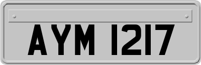 AYM1217