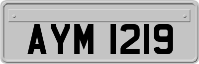 AYM1219