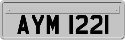 AYM1221