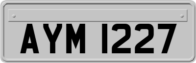 AYM1227