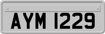 AYM1229