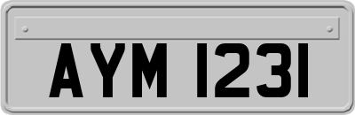 AYM1231