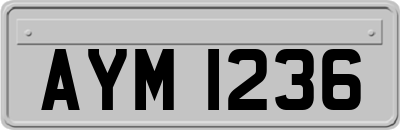 AYM1236