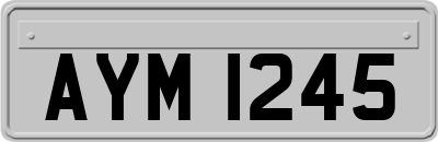 AYM1245