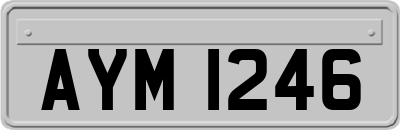 AYM1246