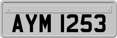 AYM1253