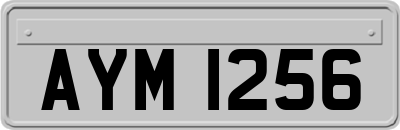 AYM1256