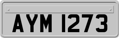 AYM1273