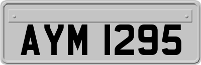 AYM1295