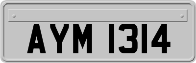 AYM1314