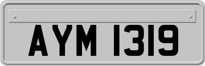 AYM1319
