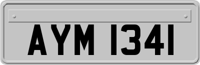 AYM1341