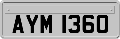 AYM1360