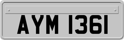 AYM1361