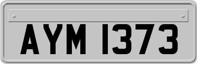 AYM1373