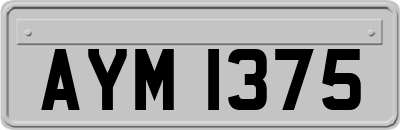 AYM1375