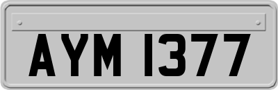 AYM1377