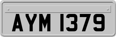 AYM1379