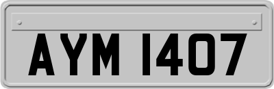 AYM1407