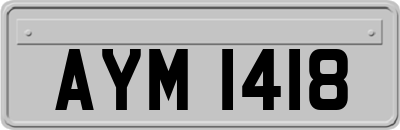 AYM1418
