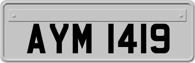 AYM1419