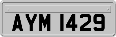 AYM1429