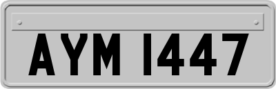 AYM1447