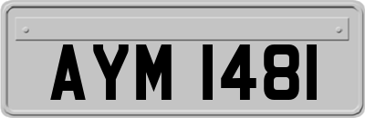 AYM1481