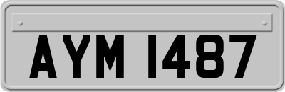 AYM1487